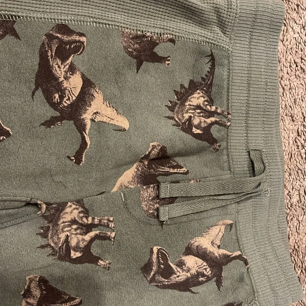 Dinosaur sweatpants and hoodie - Picture 3 of 8